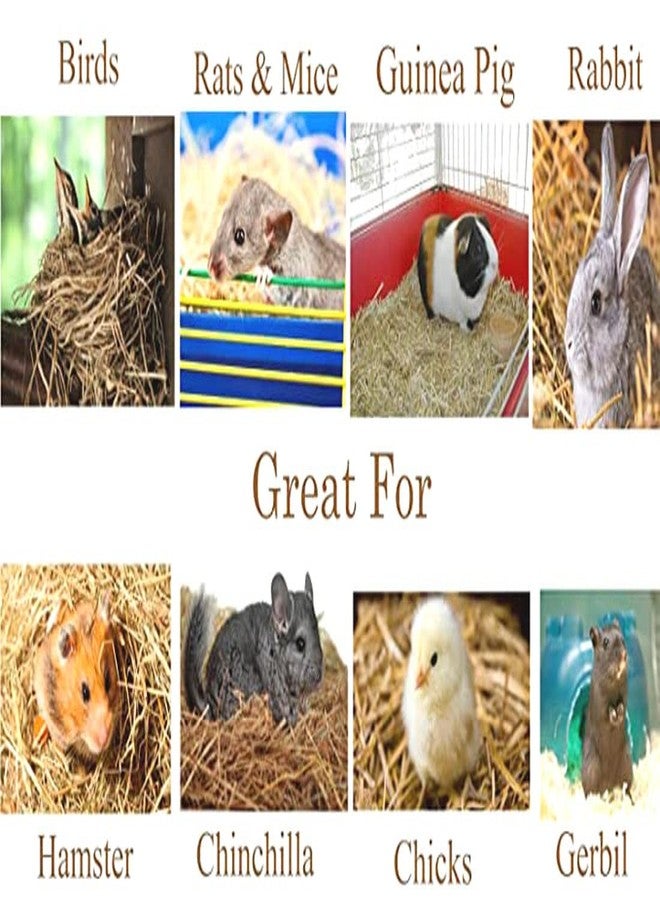 One Top Natural Pure Organic Coconut Fiber for Bird Breeding Box Cage Bird Egg Hatching Inside,Pet Animal Breeding Fiber Other Decoration Hand Craft Purpose - Image 5